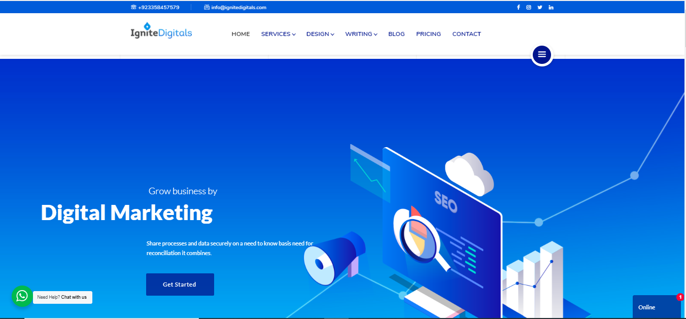 Ignite Digitals (Best Digital Marketing Services)