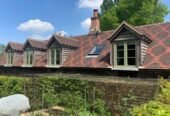 Mossinator Roof Cleaning Services