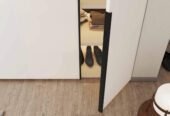 Wardrobe Storage | Wardrobe with Shoe Rack | Top of Wardrobe Storage