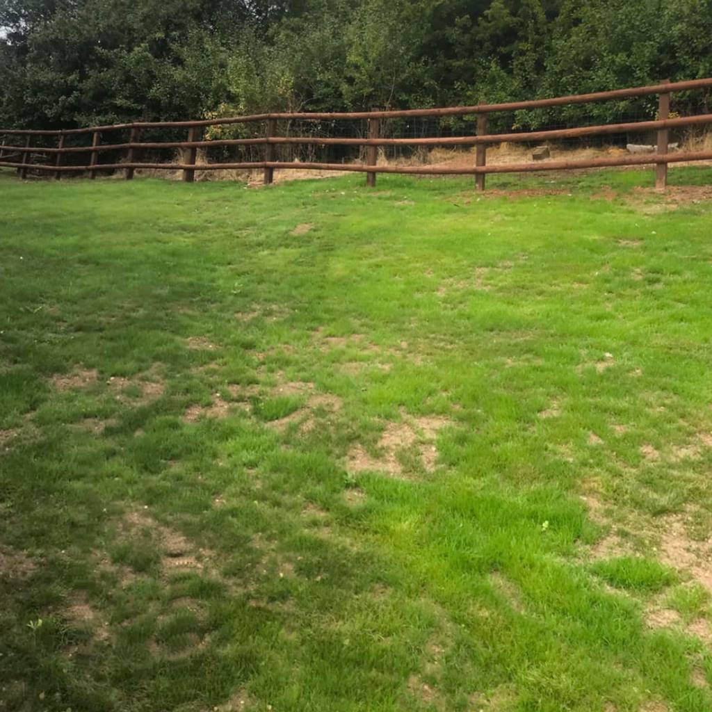 Wood Fencing service In Nottingham