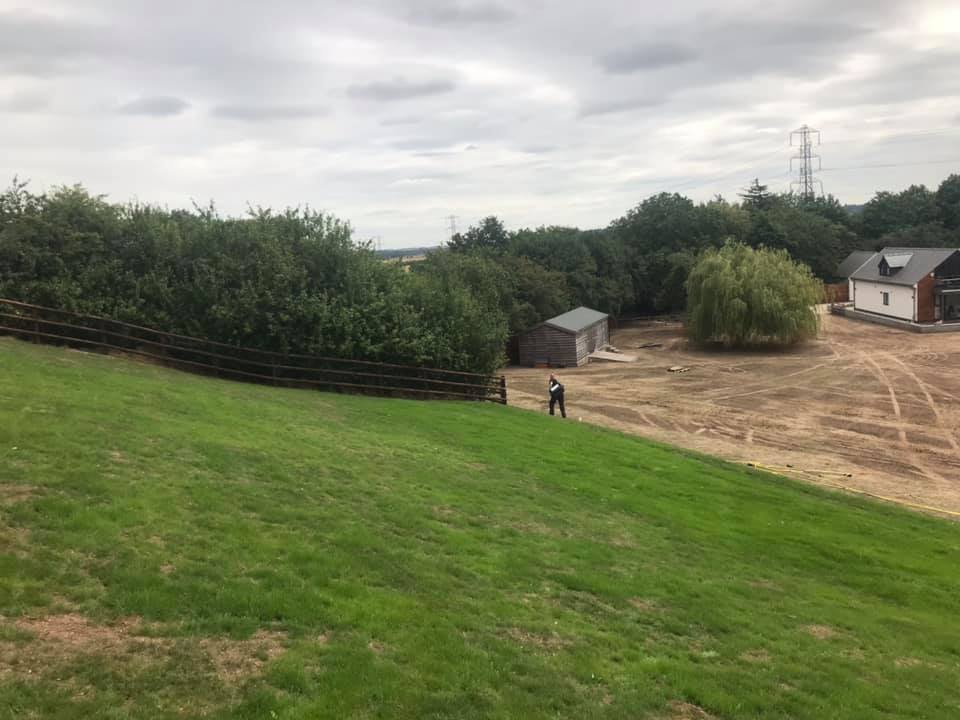 Reliable Hedge Removal Service In Nottingham