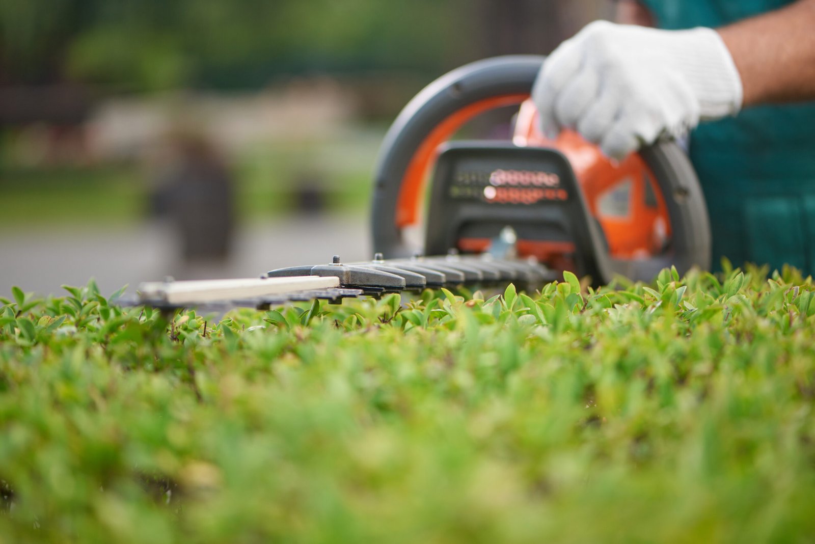 Hedge Trimming in North Lincolnshire