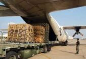 Pallet removal and pallet recycling in Portsmouth