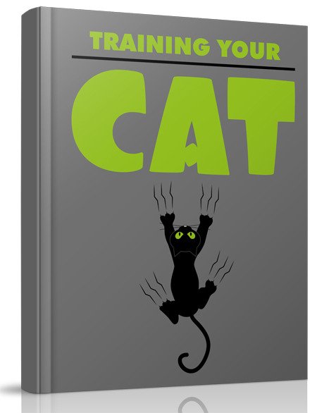 Training Your Cat – No.1 Cat Training And Caring E-Book
