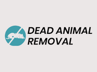 Get Professional Dead Cat Removal London – Deadanimalremoval.uk