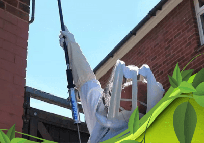 Commercial And Domestic Pest Control Services In Gloucester