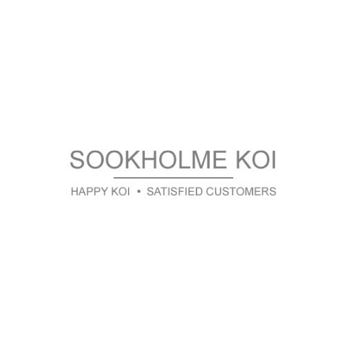 Well-Established Koi Business in Nottingham