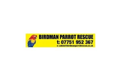 Expert Bird Rescue Company in Scotland