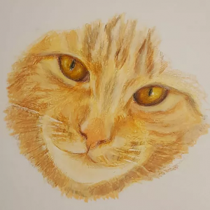 Make An Animal Portrait in Affordable Prices
