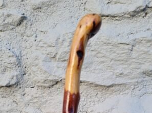 Blackthorn Walking Stick Collection