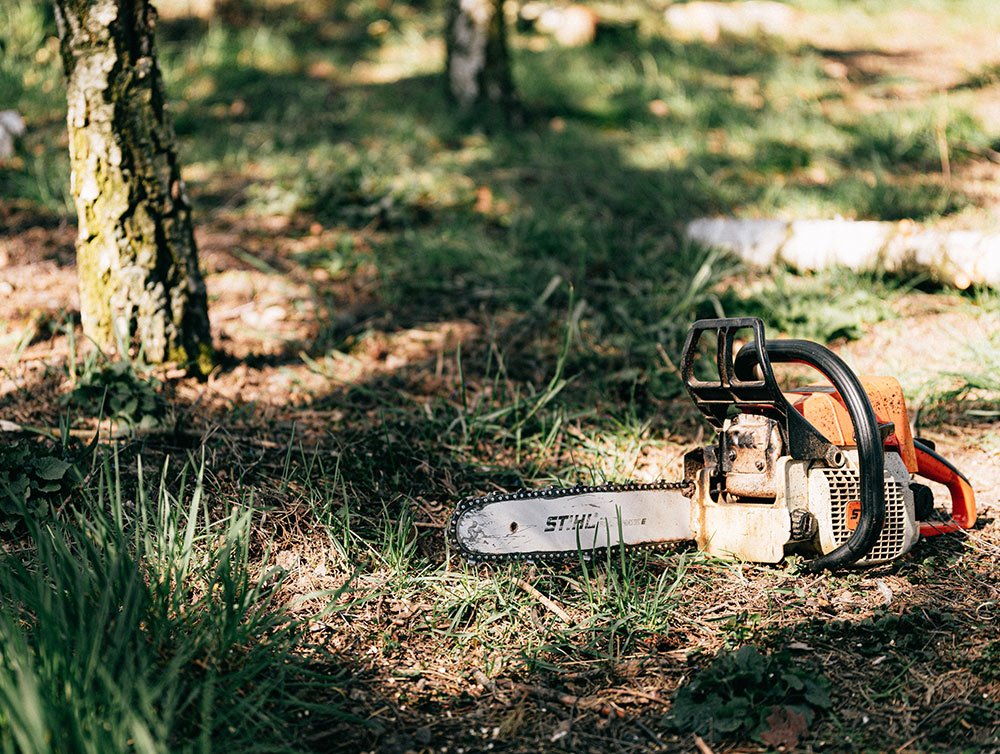 Tree Surgeon in Leeds, Roundhay | Tree Doctors Yorkshire