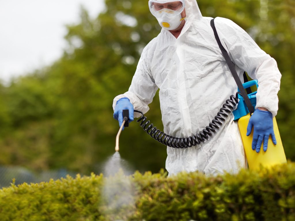 Protect Your Home With Hornet Nest Removal Service In Surrey