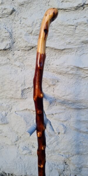 Buy Alder Walking Sticks to Make Your Walk Smooth and Safe