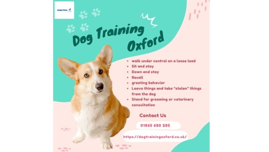 Dog Training Oxford