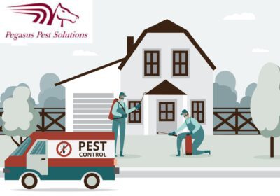 Commercial Pest Extermination in Portsmouth | Pegasus Pest Solutions