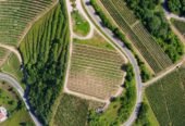 Best Aerial Photography Service in Edinburgh