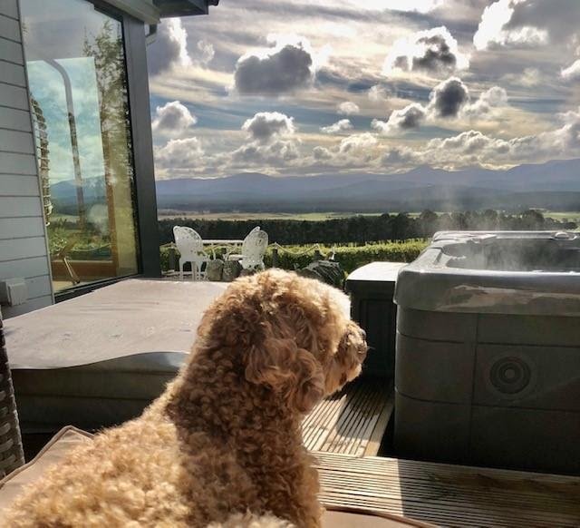 Affordable Cottages and Pet-Friendly Lodges in Scotland