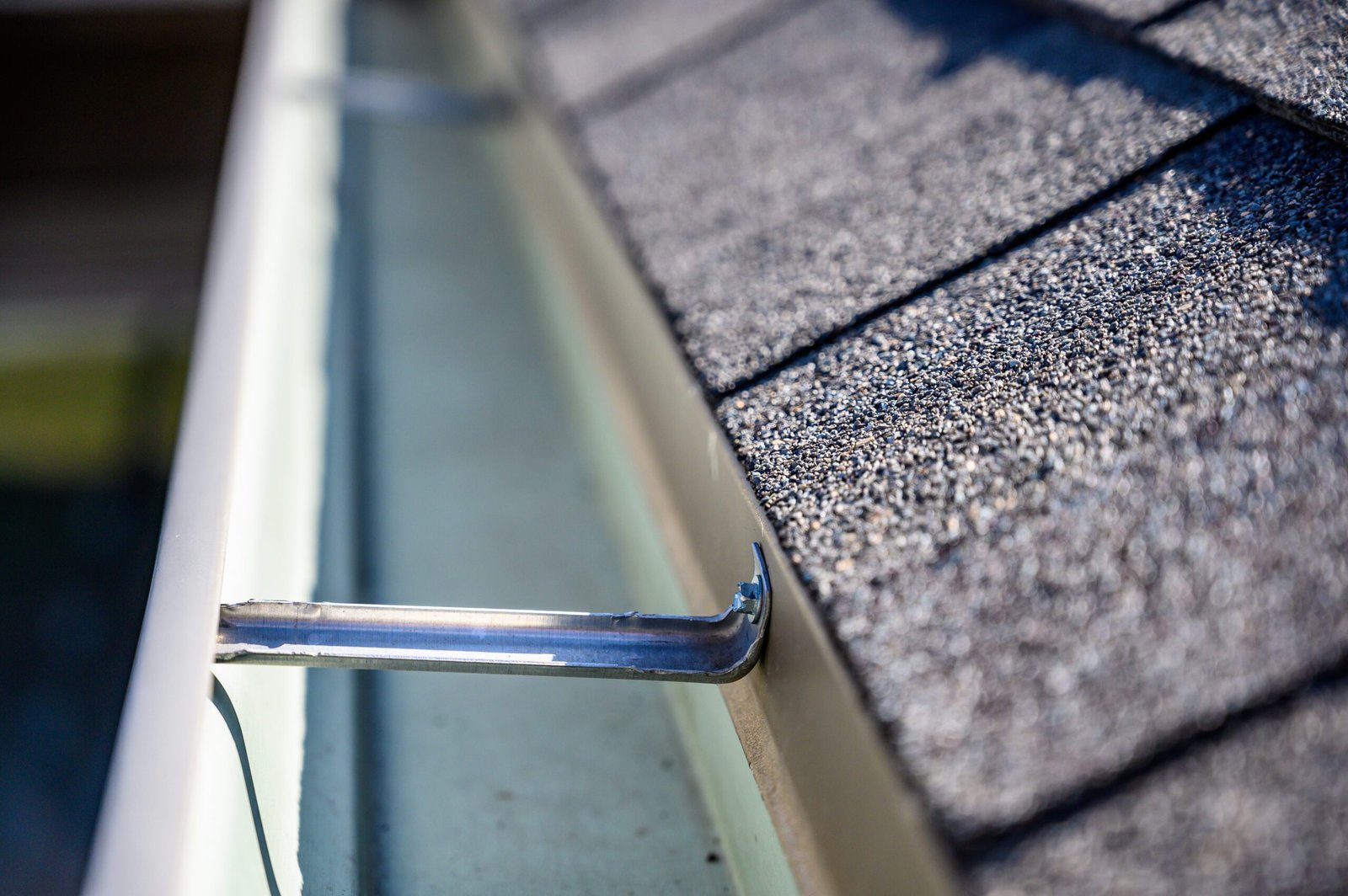 Gutter Cleaning Wakefield: Don’t Let Your Gutters Become A Root Problem