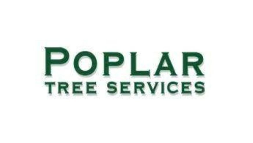 Arborist and tree surgeon in Breaston