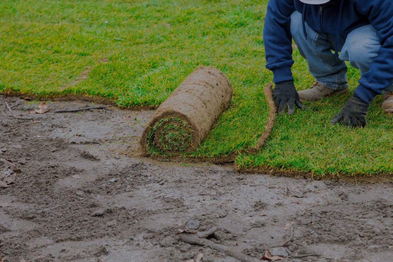 landscaping and Roofing Contractor specialist in north Tyneside at Affordable price