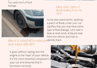 Everything to Know About Engine Oil Leaks (and How to Avoid Them)