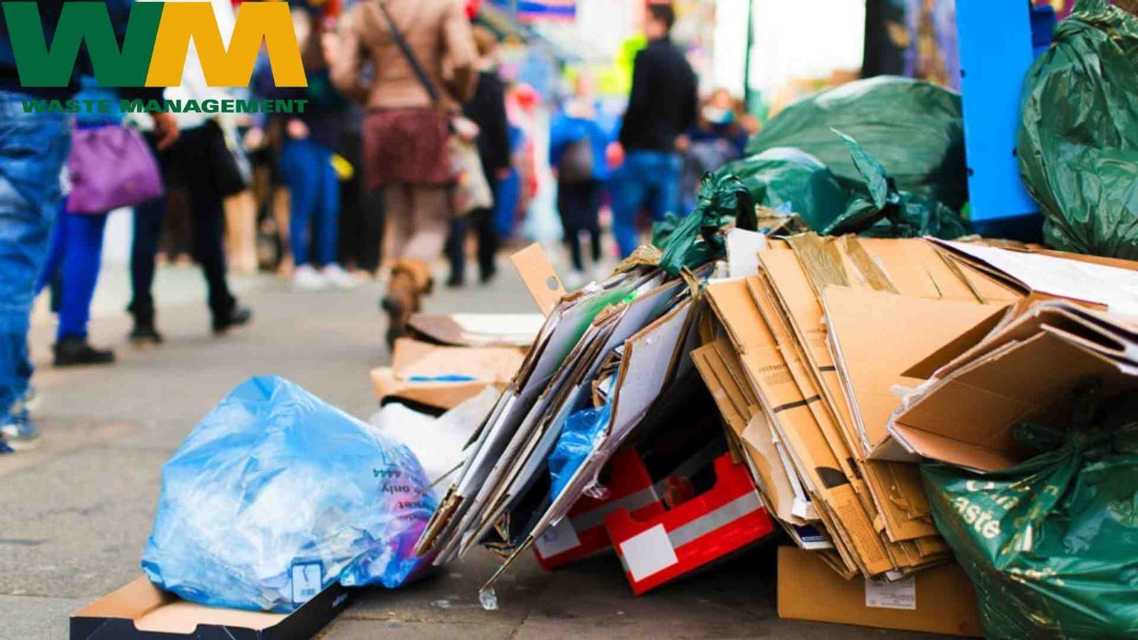 Waste Management Solutions in Eastbourne