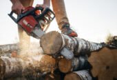 Choosing A Tree Surgeon: What You Need To Know