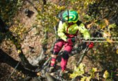 Choosing A Tree Surgeon: What You Need To Know