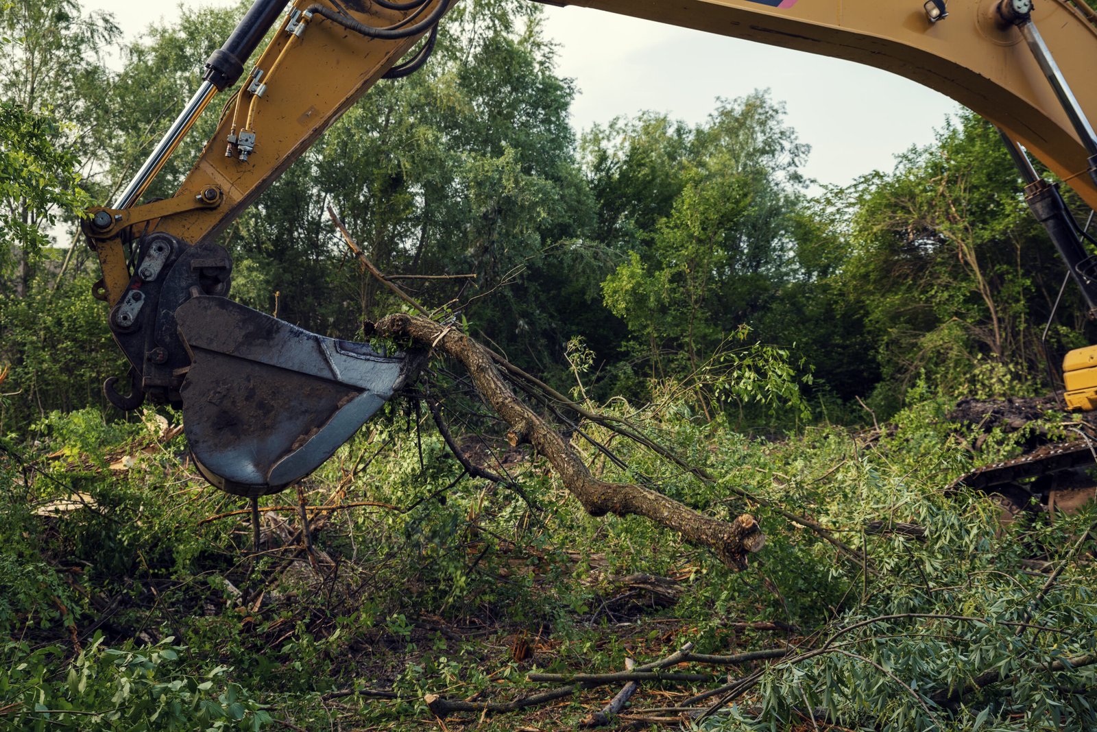 Most affordable site clearance services in Northampton
