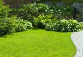 Groundwork Contractor County Down | Excavation Service
