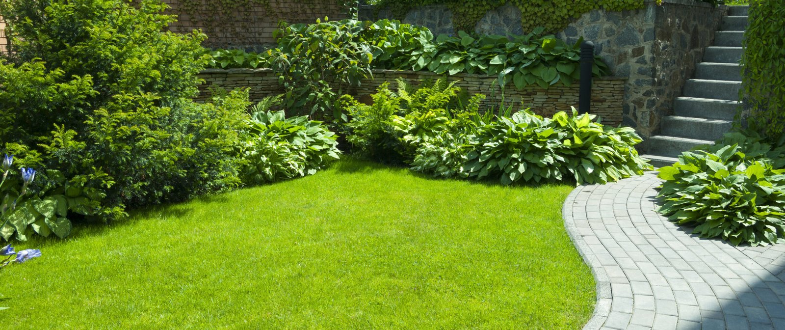 Groundwork Contractor County Down | Excavation Service