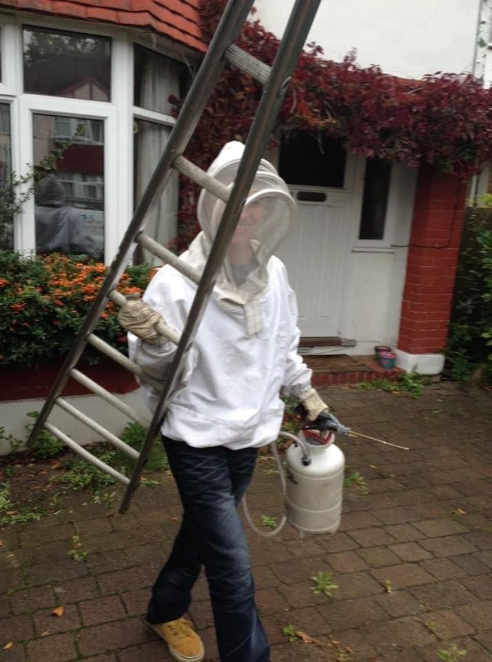 Protect Your Home With Our Wasp Nest Removal Service In Surrey