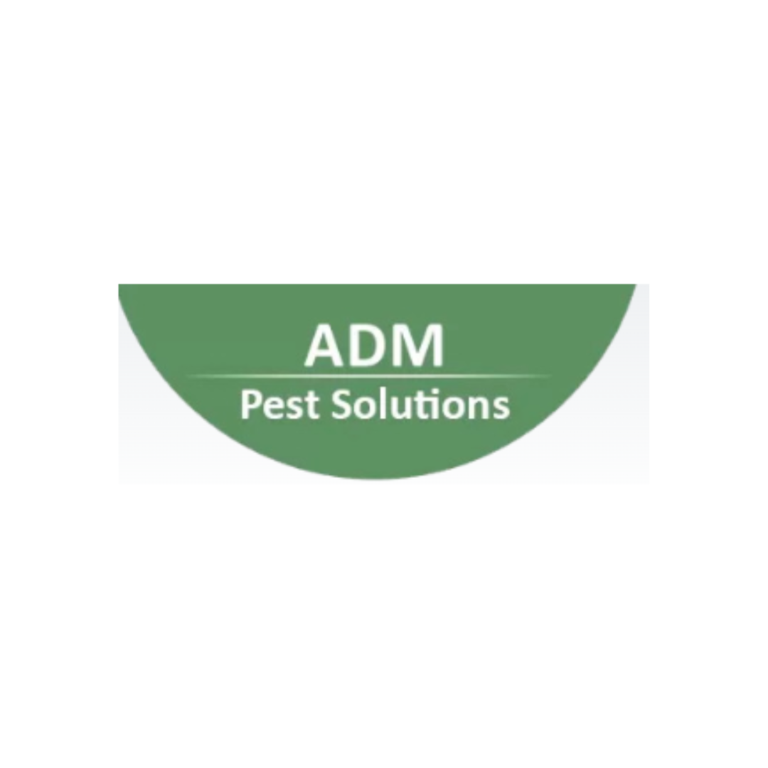 Bird Proofing Services in Devon