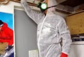 Need a Cheap, Reliable Asbestos Survey in London?