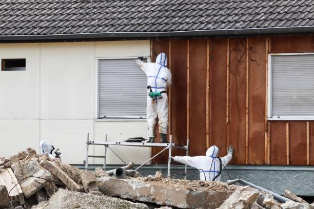 Looking For An Asbestos Surveyor In Hampshire? We Can Help