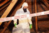 Asbestos Removal and How To Choose The Right Options