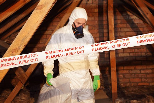 Asbestos Removal and How To Choose The Right Options