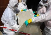 Asbestos Removal and How To Choose The Right Options