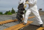 Looking For An Asbestos Surveyor In Hampshire? We Can Help