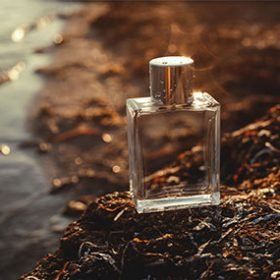 Buy 100ml Eau De Parfum in London – For Men & Women