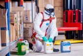 Asbestos Removal and How To Choose The Right Options