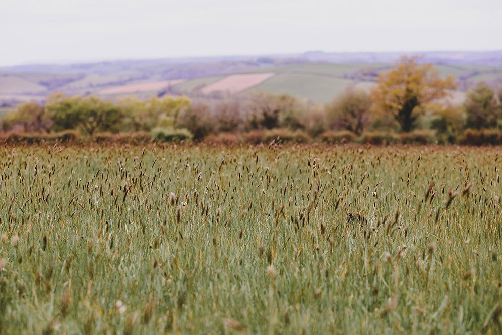 Planning your funeral With Our Experienced Funeral Director in Cornwall