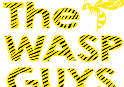 Get The Best Wasp & Hornet Nest Removal Services in Surrey, Guildford