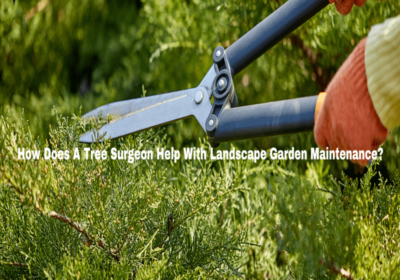 How-Does-A-Tree-Surgeon-Help-With-Landscape-Garden-Maintenance-1-min