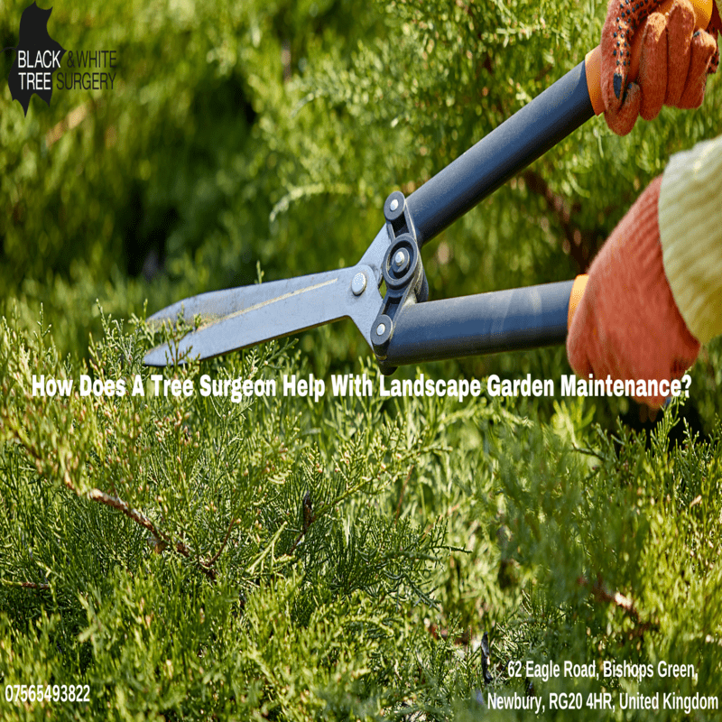 Professional Landscaping Services in West Berkshire