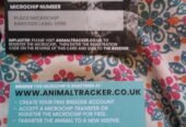 Pet microchipping in Medway Kent