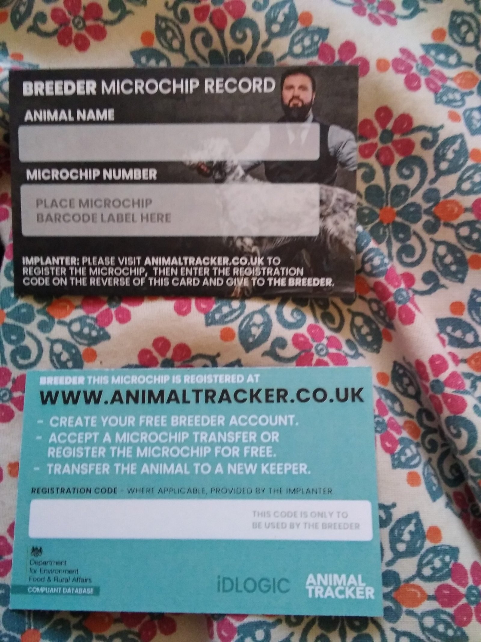 Pet microchipping in Medway Kent