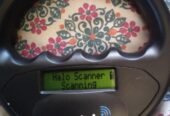 Pet microchipping in Medway Kent