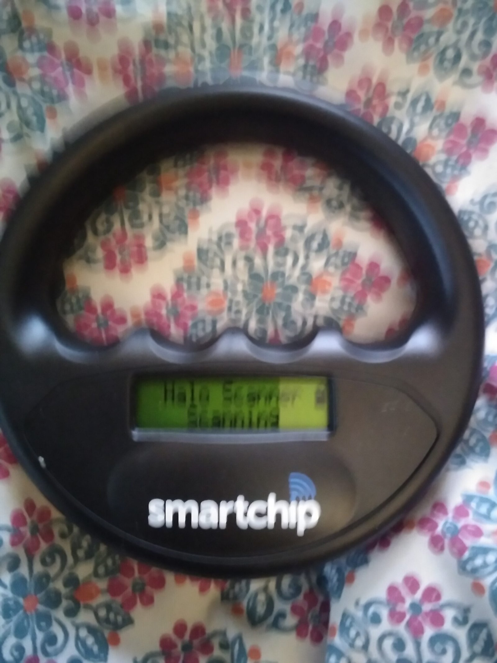 Pet microchipping in Medway Kent