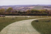 Hire Experienced Funeral Directors in Cornwall to Plan Your Funeral